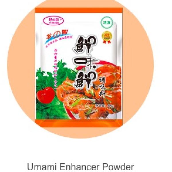 Jingyang Umami Enhancer Powder