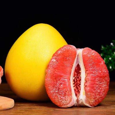 Zhongjiang Red Flesh Pomelo 3.5kg - From 30-Year-Old Trees, Large & Juicy