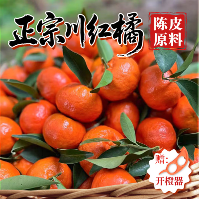 Fresh-Picked Sichuan 'Old Variety' Red Tangerines, Sweet & Sour Small Fruit for Homemade Chenpi - 2.5kg Box