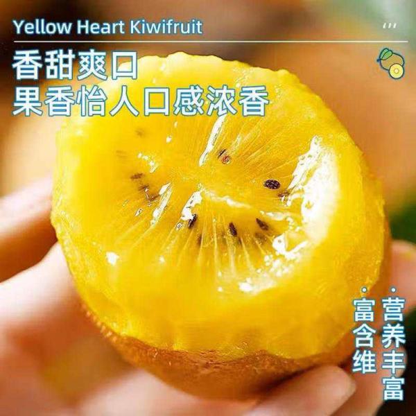 Jinbaisu Golden Yellow Kiwifruit 24 Pcs - Large 90-110g Sweet & Fresh
